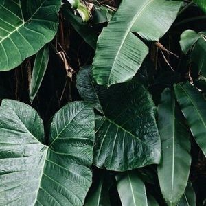 Meet your Posher, Maryam